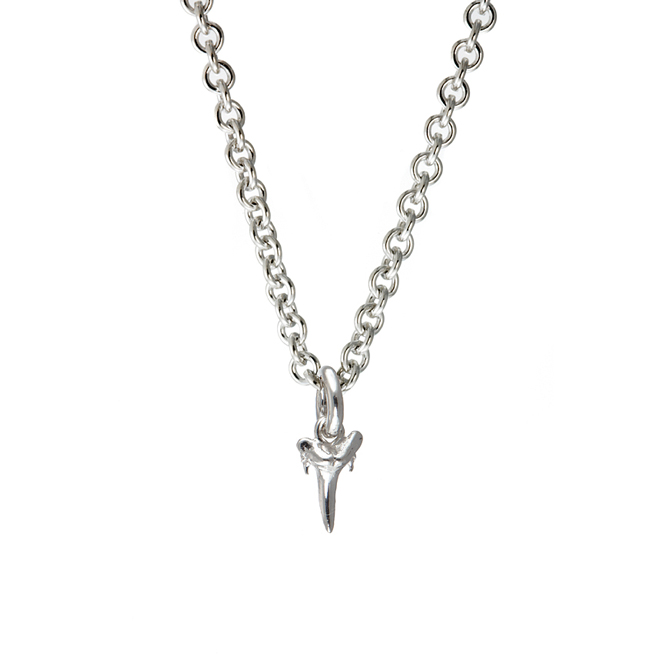 Sterling Silver Large Shark Tooth Necklace | Pnut